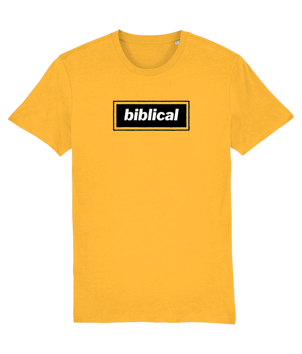 Biblical T-shirt