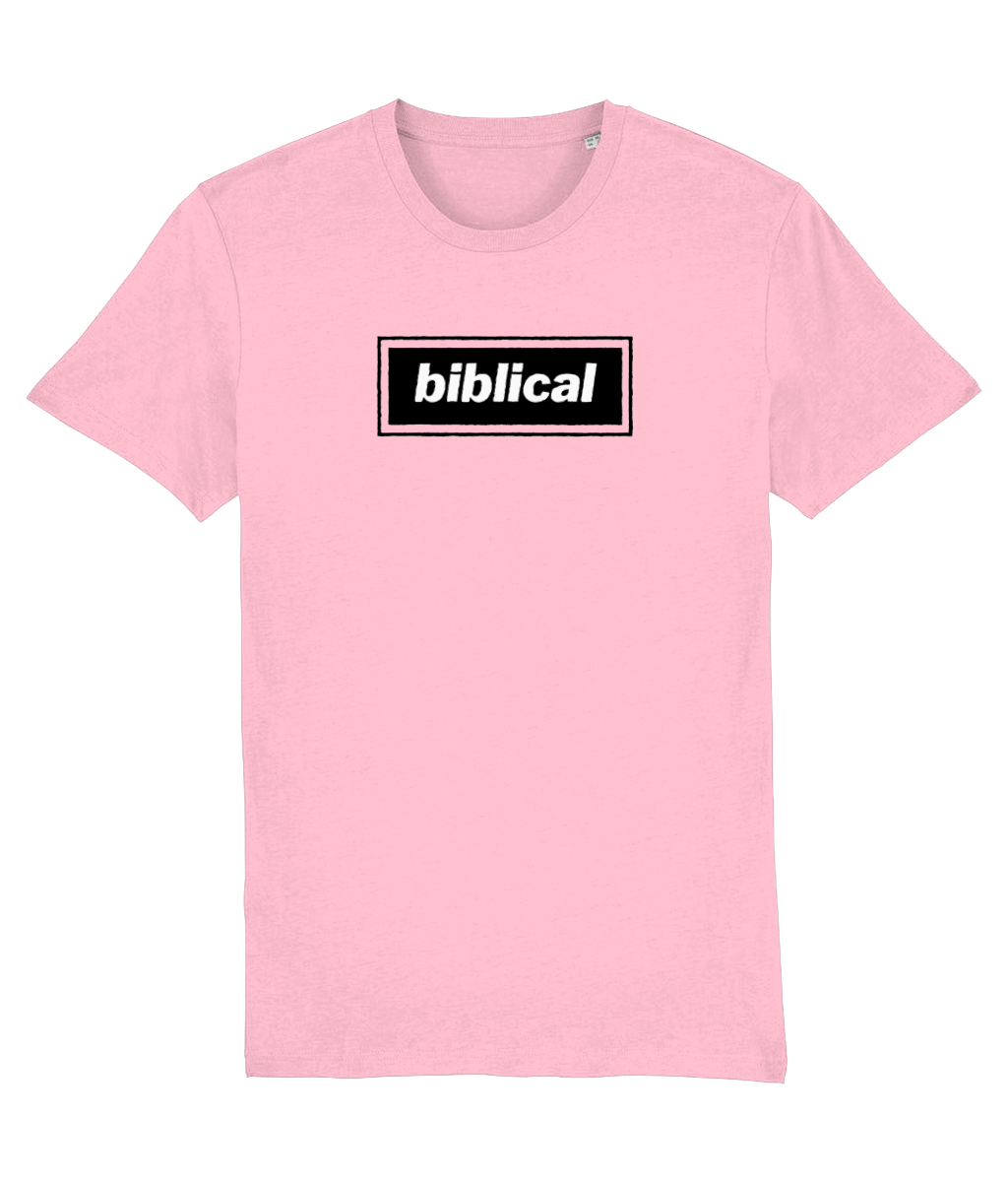 Biblical T-shirt